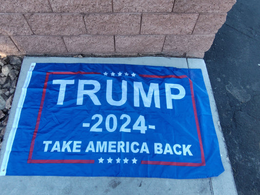 Take America Back Flag